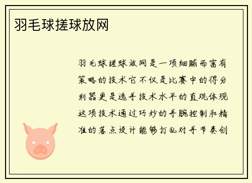 羽毛球搓球放网