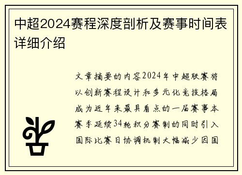 中超2024赛程深度剖析及赛事时间表详细介绍